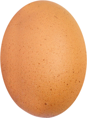 Chicken Egg